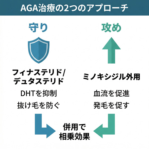 AGA治療の「守り」(フィナステリド/デュタステリドでDHT抑制)と「攻め」(ミノキシジル外用で発毛促進)の2アプローチと併用による相乗効果