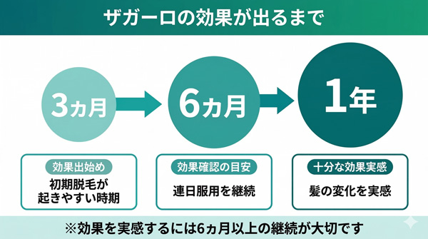 ザガーロの効果が出るまでの期間。3ヵ月で効果出始め、6ヵ月で効果確認、1年で十分な効果実感の3段階タイムライン